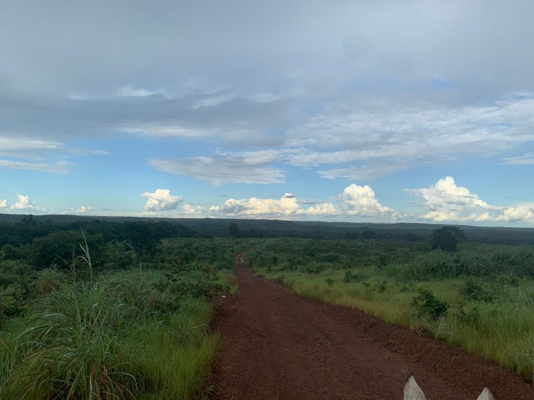 FAZENDA DE 484 HA NO MATO GROSSO
