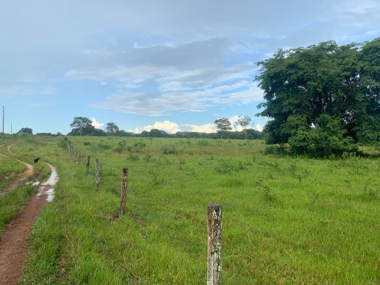 FAZENDA DE 484 HA NO MATO GROSSO
