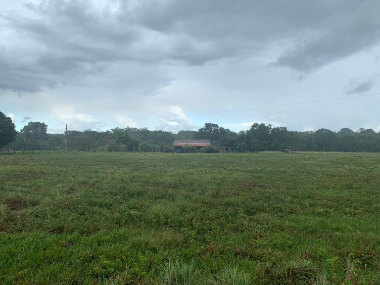 FAZENDA DE 484 HA NO MATO GROSSO