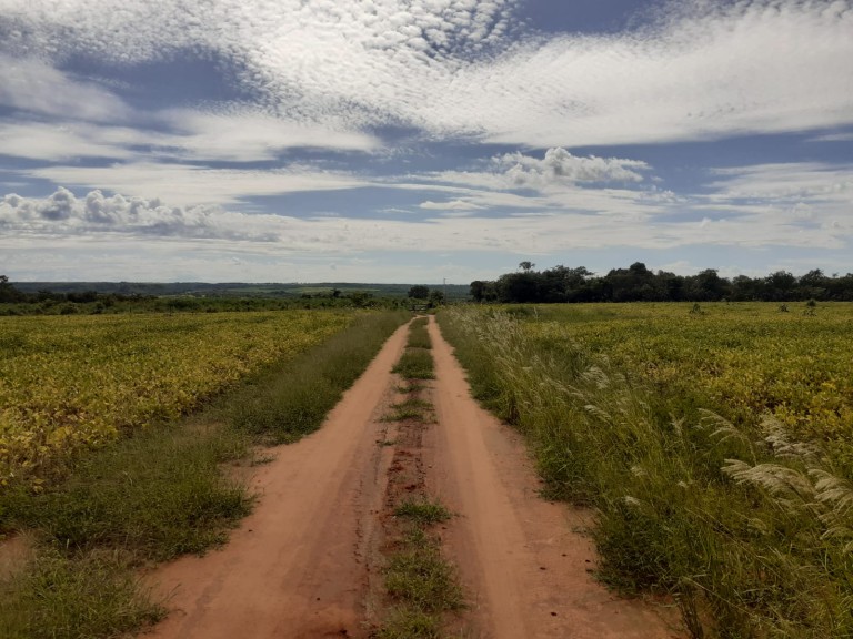 FAZENDA DE 484 HA NO MATO GROSSO