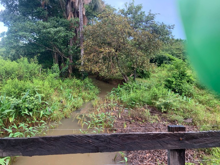 FAZENDA DE 484 HA NO MATO GROSSO