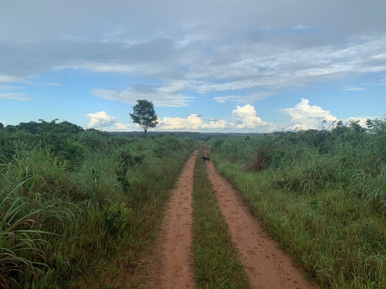 FAZENDA DE 484 HA NO MATO GROSSO