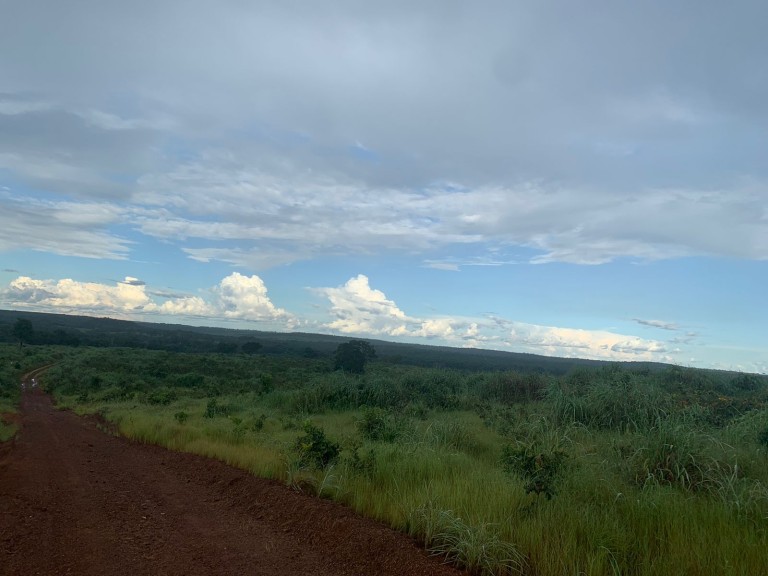 FAZENDA DE 484 HA NO MATO GROSSO