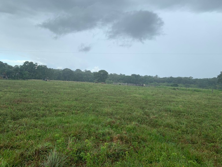 FAZENDA DE 484 HA NO MATO GROSSO