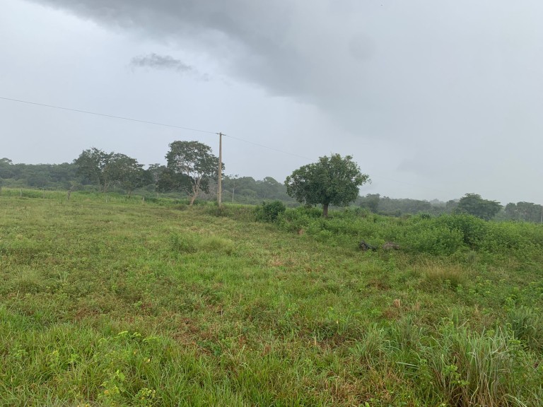 FAZENDA DE 484 HA NO MATO GROSSO