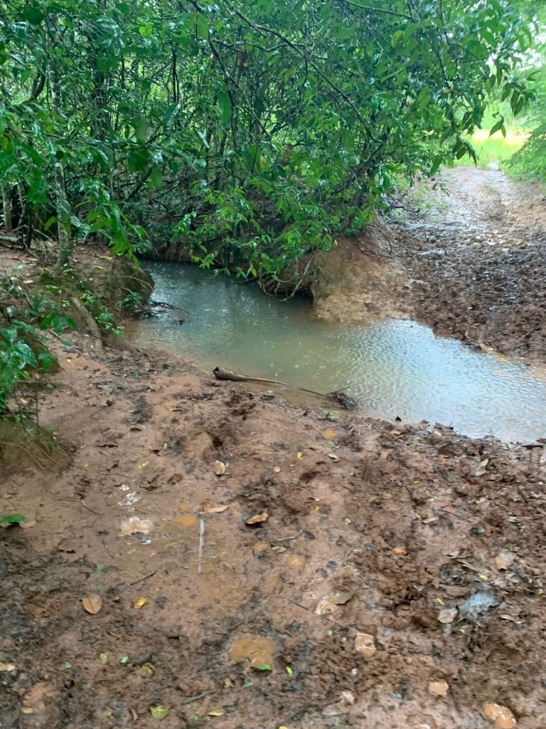 FAZENDA DE 484 HA NO MATO GROSSO