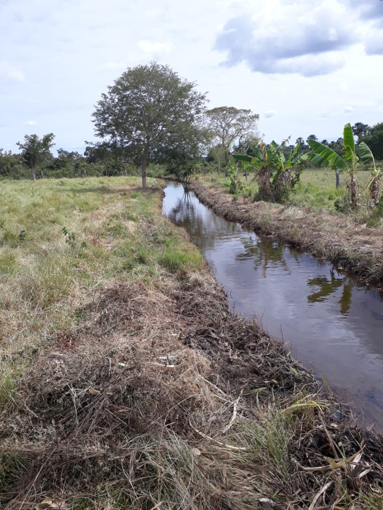 FAZENDA DE 9.850 HA NA BAHIA
