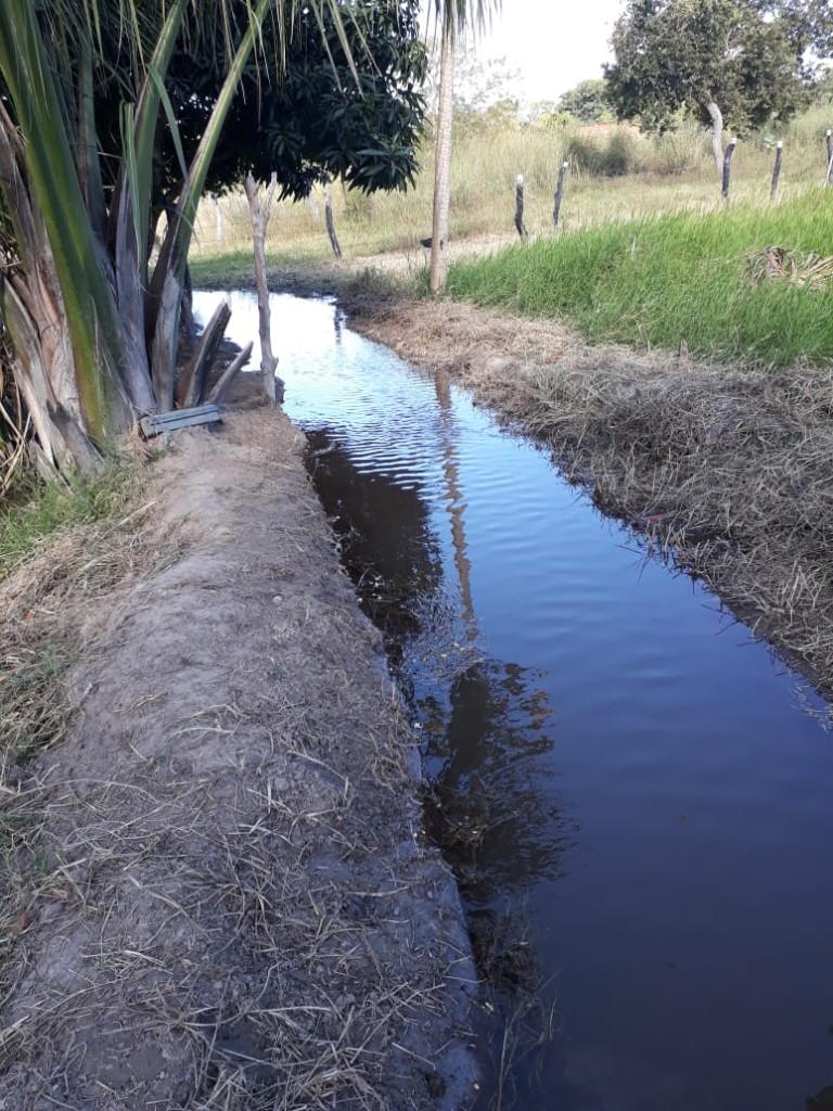 FAZENDA DE 9.850 HA NA BAHIA