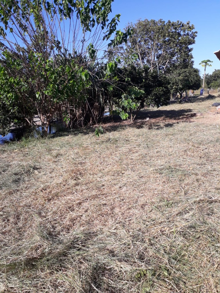 FAZENDA DE 9.850 HA NA BAHIA