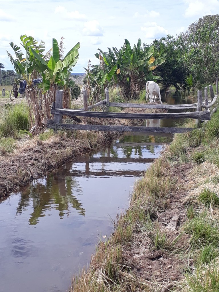 FAZENDA DE 9.850 HA NA BAHIA