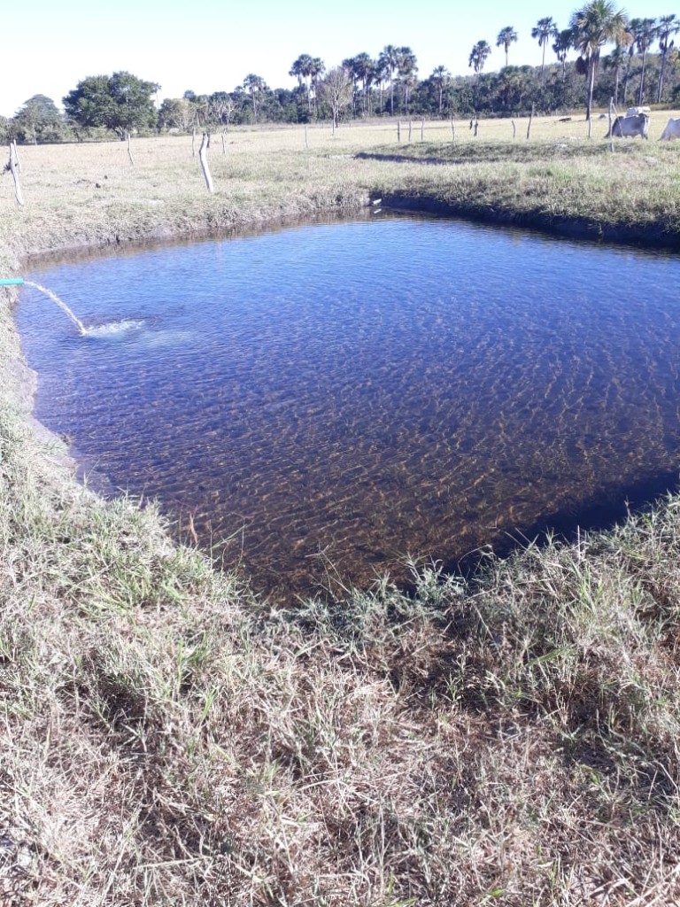 FAZENDA DE 9.850 HA NA BAHIA