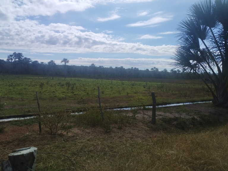 FAZENDA DE 9.850 HA NA BAHIA