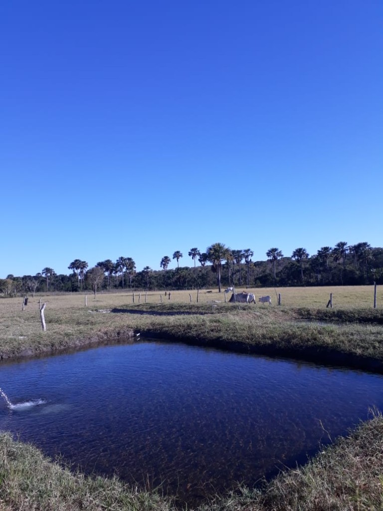 FAZENDA DE 9.850 HA NA BAHIA