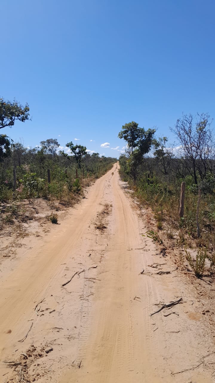 FAZENDA DE 9.850 HA NA BAHIA