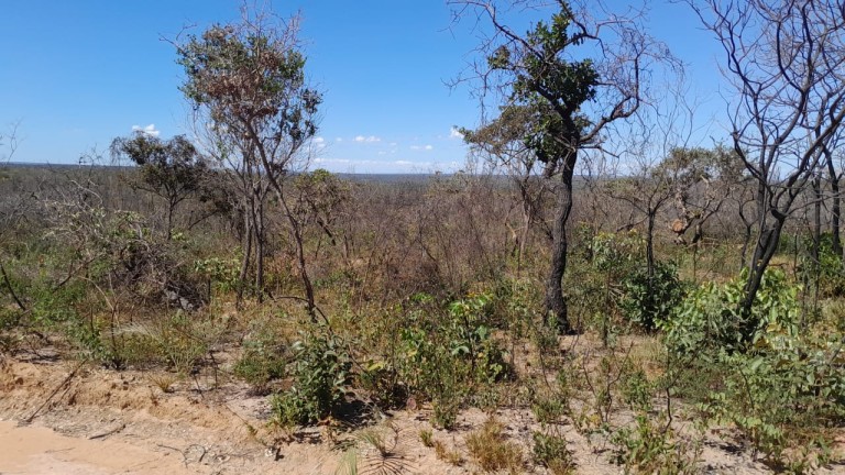 FAZENDA DE 9.850 HA NA BAHIA