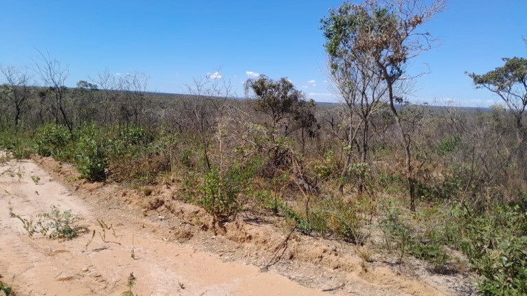 FAZENDA DE 9.850 HA NA BAHIA