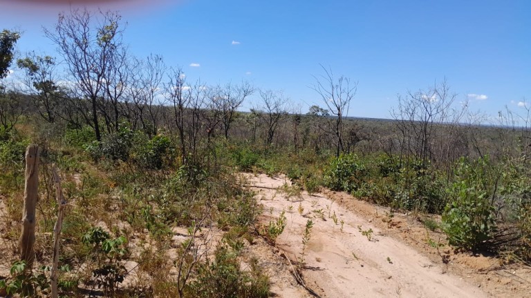 FAZENDA DE 9.850 HA NA BAHIA