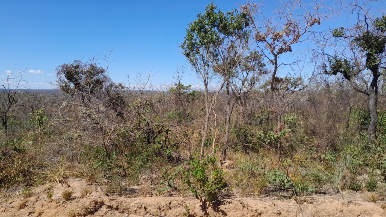 FAZENDA DE 9.850 HA NA BAHIA