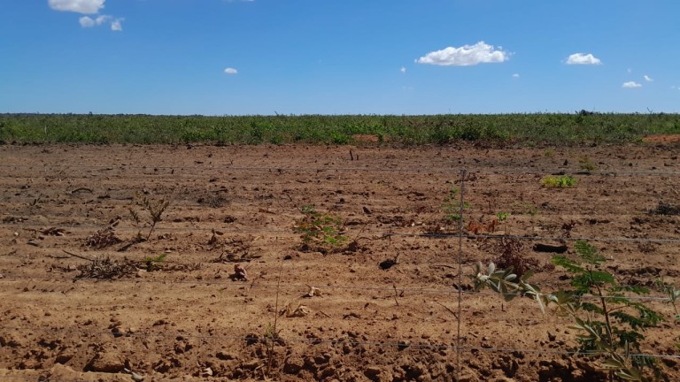 FAZENDA DE 9.850 HA NA BAHIA