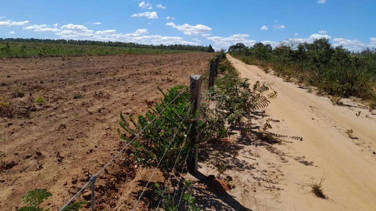 FAZENDA DE 9.850 HA NA BAHIA