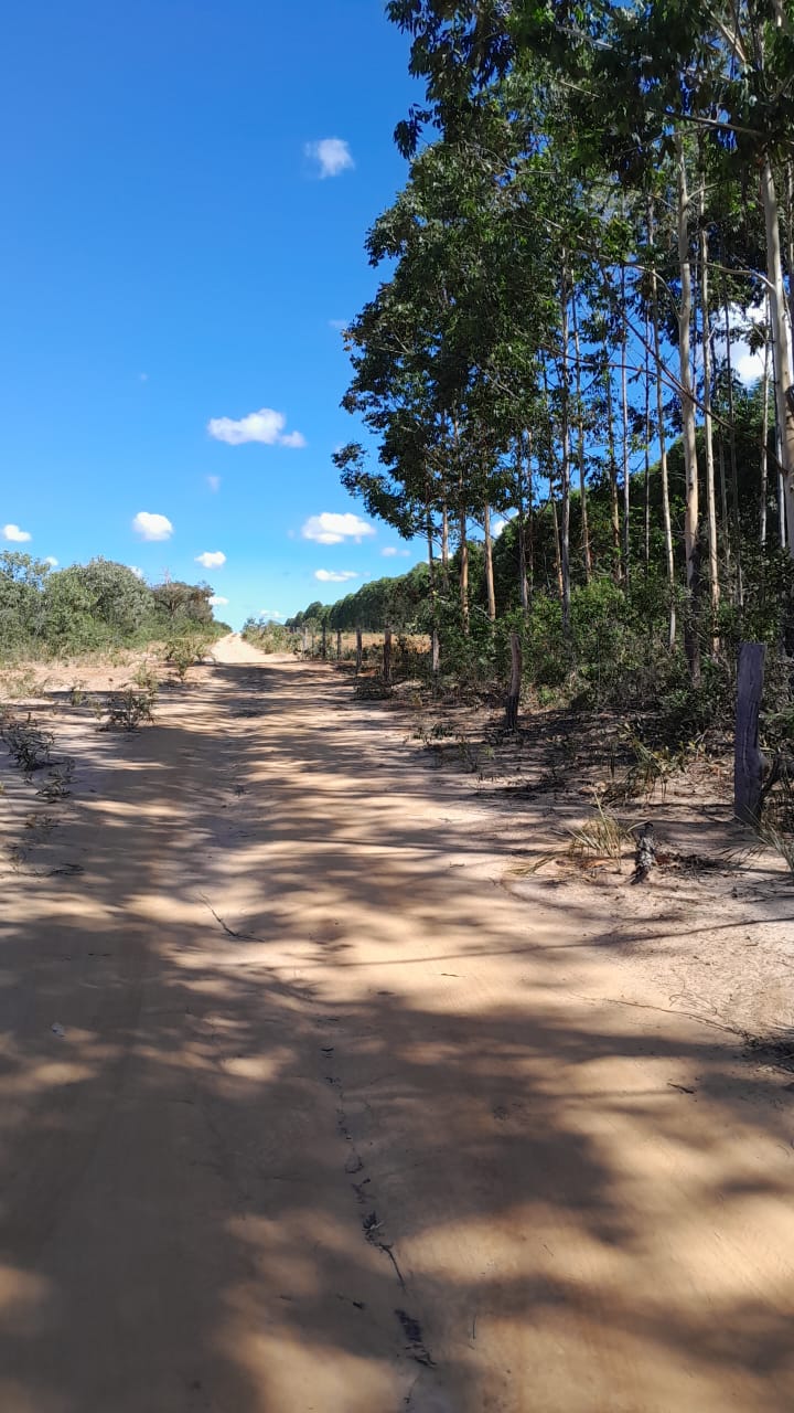 FAZENDA DE 9.850 HA NA BAHIA
