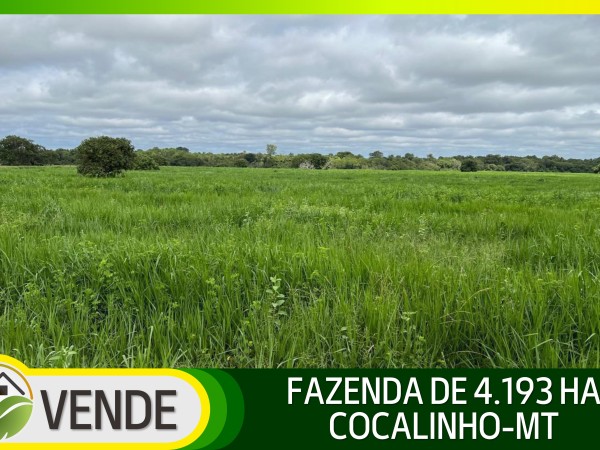 FAZENDA DE 4.193 HA NO MATO GROSSO