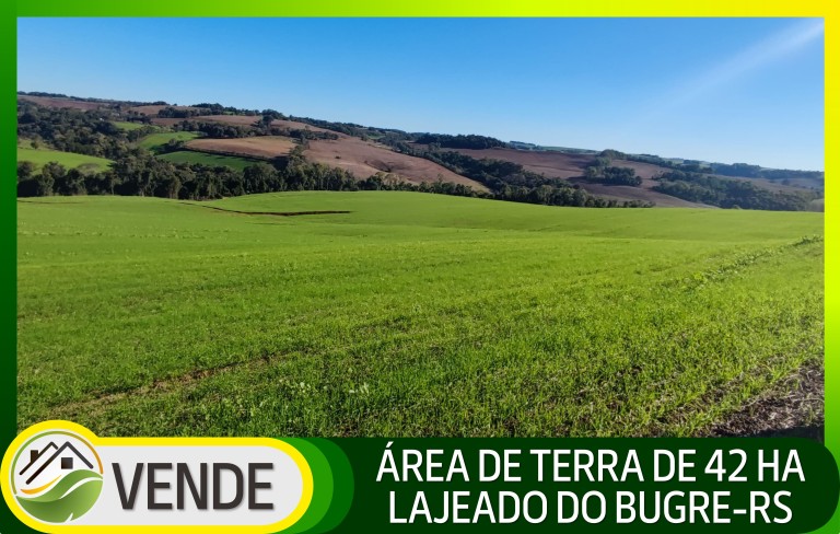 ÁREA DE TERRA DE 42 HA NO RS ÁREA DE TERRA DE 42 HA NO RS