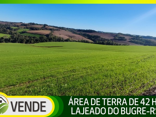 ÁREA DE TERRA DE 42 HA NO RS
