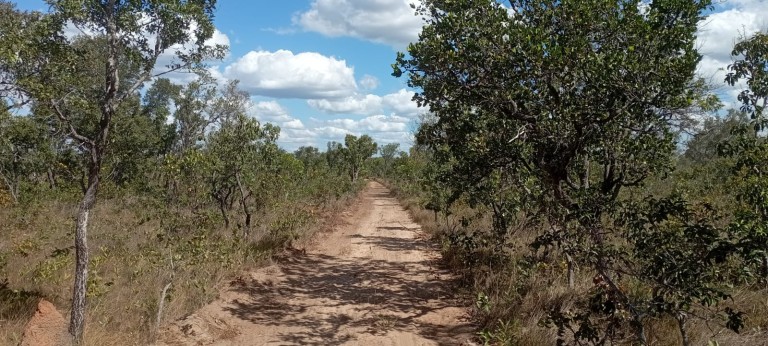 FAZENDA DE 2.362 HA POR R$ 3.500,00 POR HA