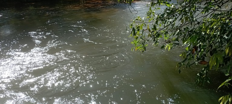 FAZENDA DE 2.362 HA POR R$ 3.500,00 POR HA