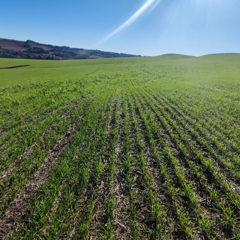 ÁREA DE TERRA DE 42 HA NO RS ÁREA DE TERRA DE 42 HA NO RS