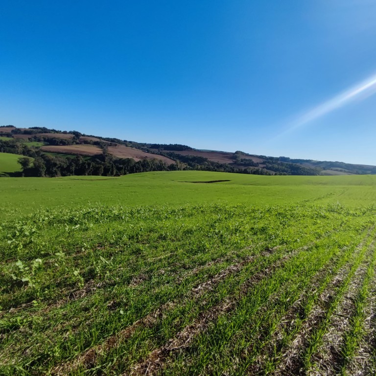 ÁREA DE TERRA DE 42 HA NO RS ÁREA DE TERRA DE 42 HA NO RS