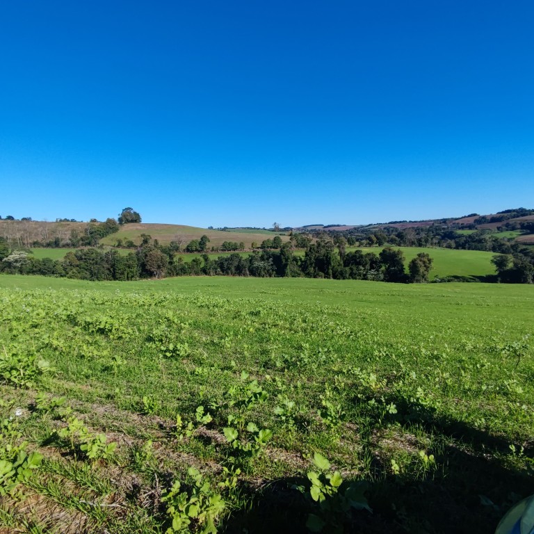 ÁREA DE TERRA DE 42 HA NO RS ÁREA DE TERRA DE 42 HA NO RS