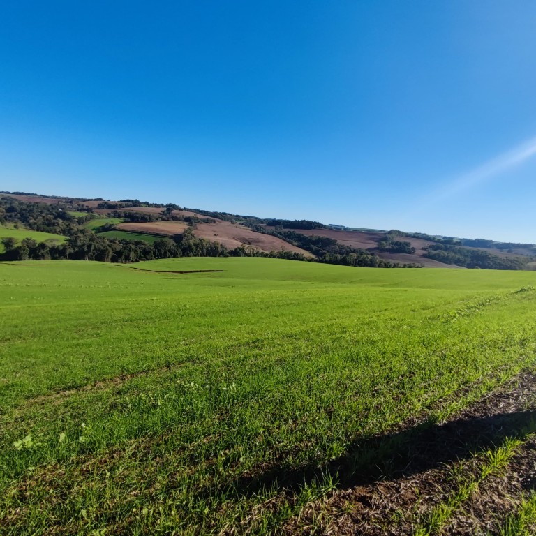 ÁREA DE TERRA DE 42 HA NO RS ÁREA DE TERRA DE 42 HA NO RS