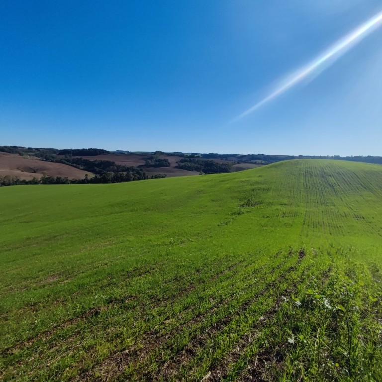 ÁREA DE TERRA DE 42 HA NO RS ÁREA DE TERRA DE 42 HA NO RS