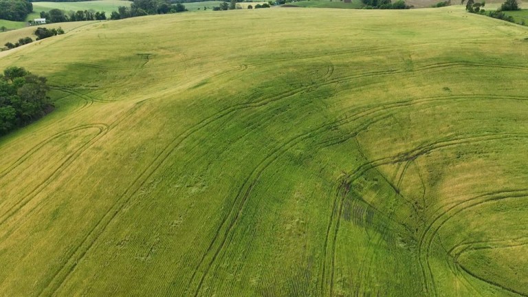 ÁREA DE TERRA DE 42 HA EM LAJEADO DO BUGRE-RS