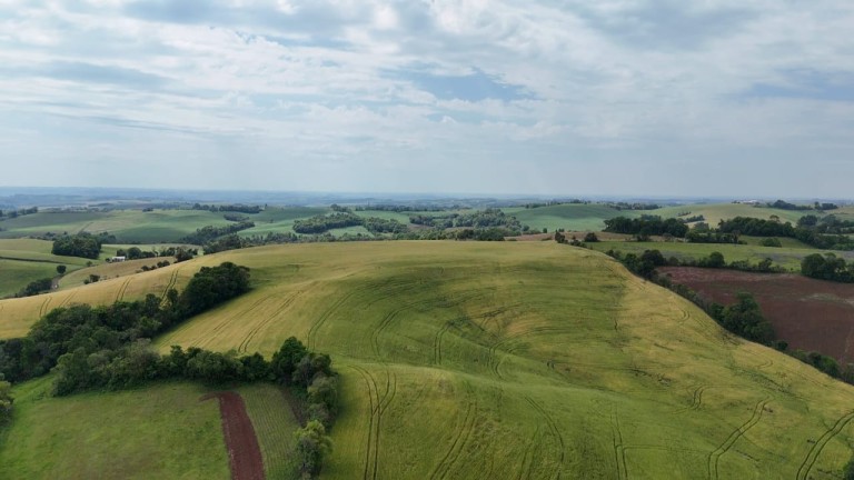 ÁREA DE TERRA DE 42 HA EM LAJEADO DO BUGRE-RS