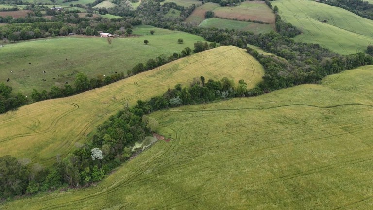 ÁREA DE TERRA DE 42 HA EM LAJEADO DO BUGRE-RS