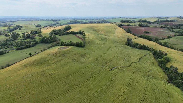 ÁREA DE TERRA DE 42 HA EM LAJEADO DO BUGRE-RS