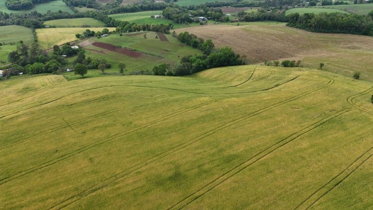 ÁREA DE TERRA DE 42 HA EM LAJEADO DO BUGRE-RS