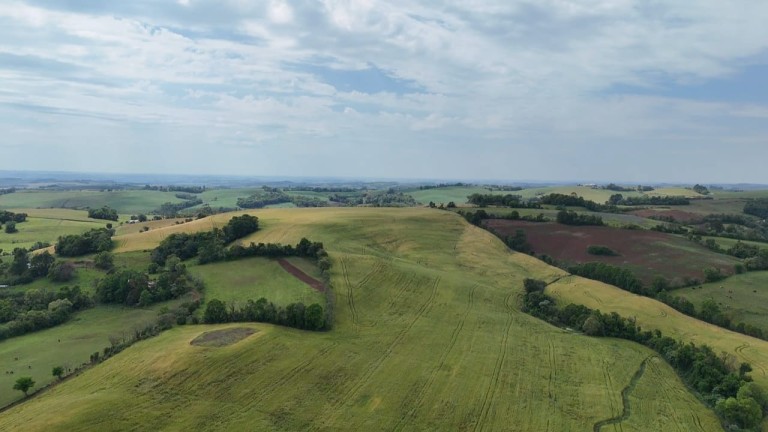 ÁREA DE TERRA DE 42 HA EM LAJEADO DO BUGRE-RS