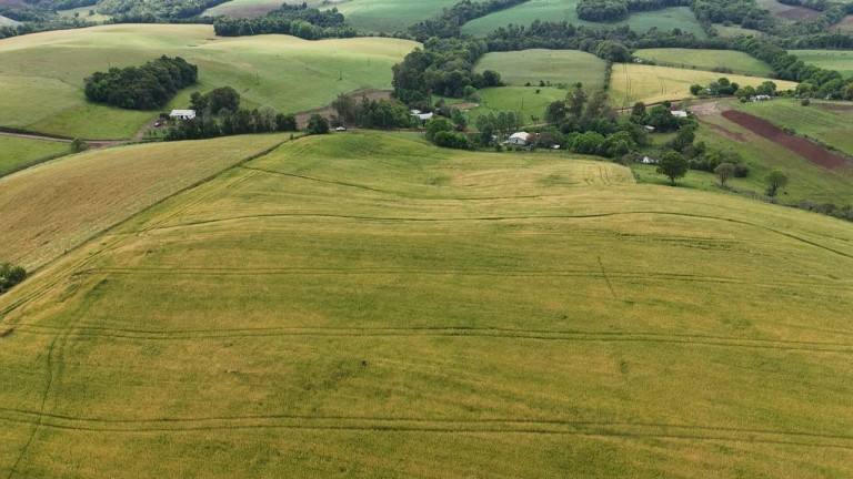 ÁREA DE TERRA DE 42 HA EM LAJEADO DO BUGRE-RS
