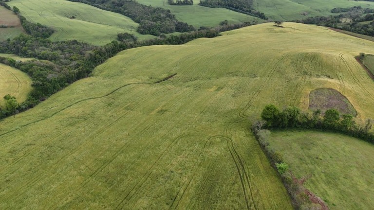 ÁREA DE TERRA DE 42 HA EM LAJEADO DO BUGRE-RS