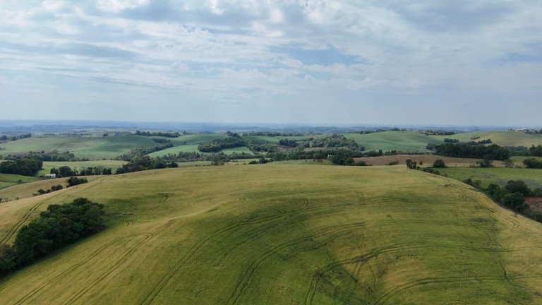 ÁREA DE TERRA DE 42 HA EM LAJEADO DO BUGRE-RS