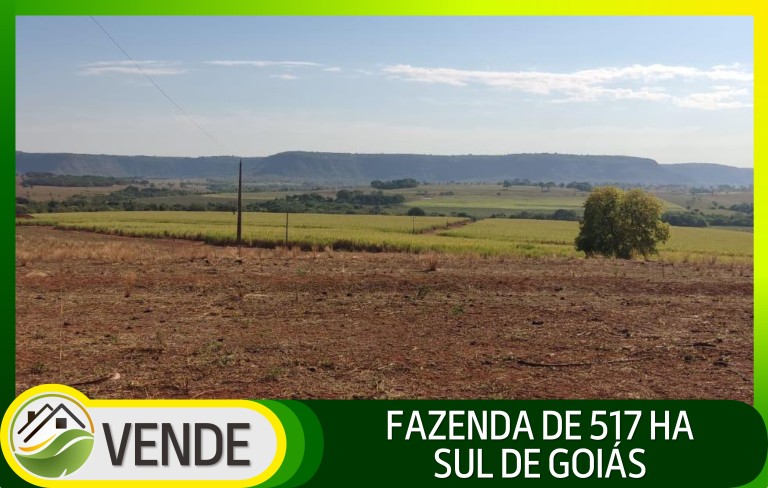 FAZENDA DE 517 HA EM GOIÁS