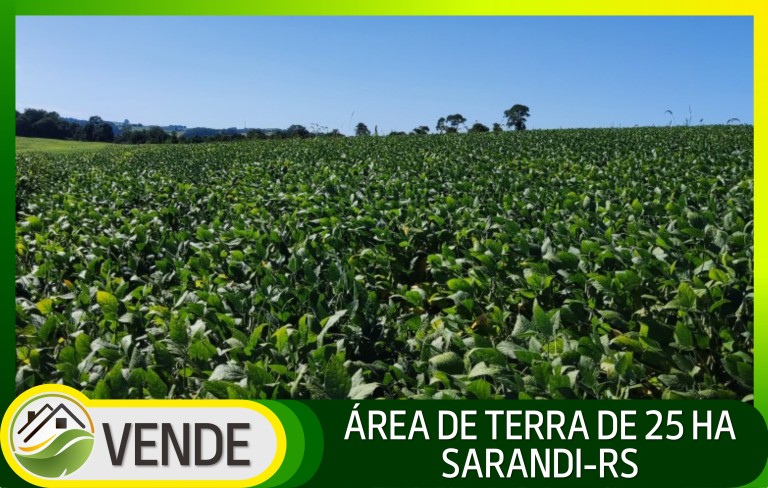 ÁREA DE TERRA DE 25 HA NO RS