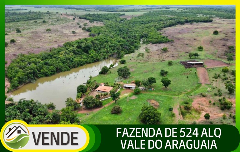 FAZENDA DE 524 ALQUEIRES COM MAIS DE 10 ANOS PARA PAGAR