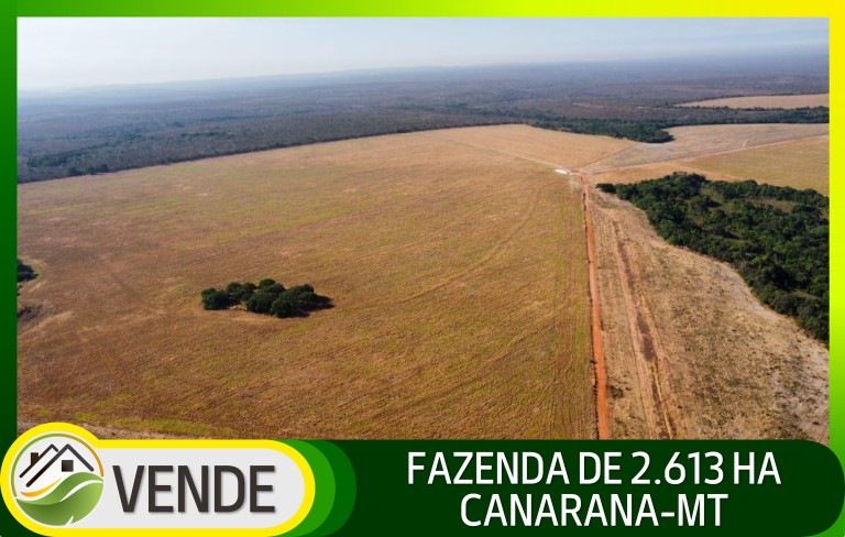 FAZENDA DE 2.613 HA COM 7 ANOS PARA PAGAR