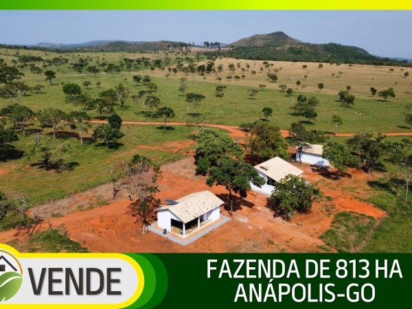 FAZENDA DE 813 HA EM GOIÁS