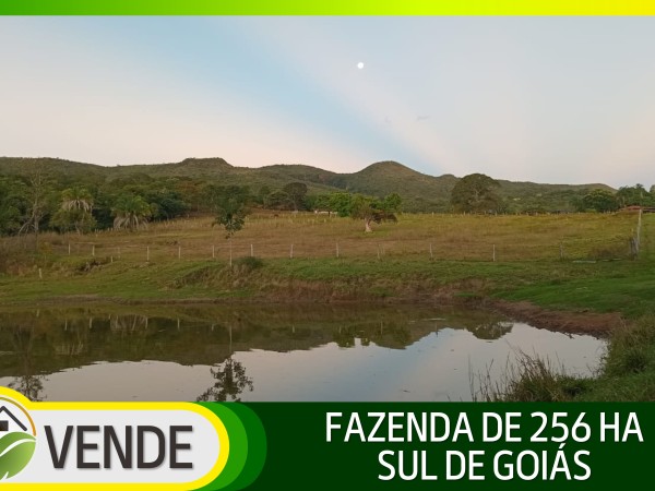 FAZENDA DE 256 HA EM GOIÁS